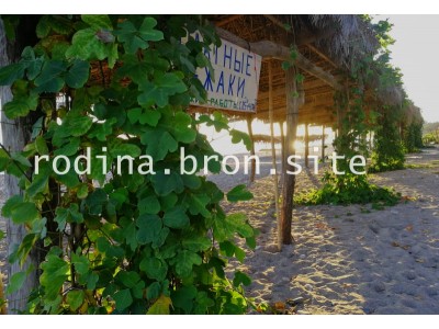  Отель «Родина»| Абхазия, Гудаутский район, Новый Афон |оборудованный пляж